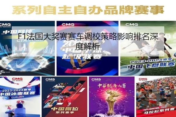 F1法国大奖赛赛车调校策略影响排名深度解析
